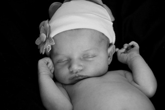 Enlarge photo 181