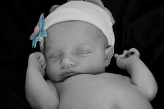 Enlarge photo 183