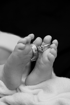 Enlarge photo 206