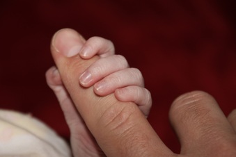 Enlarge photo 239