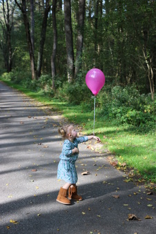Enlarge photo 61