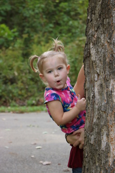Enlarge photo 259