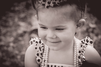 Enlarge photo 337