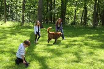 Enlarge photo 19