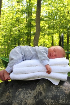 Enlarge photo 112