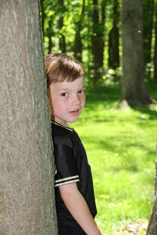 Enlarge photo 133