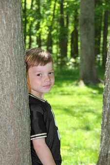 Enlarge photo 134
