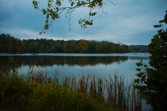 Enlarge photo 408
