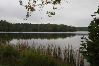 Enlarge photo 409