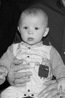 Enlarge photo 196