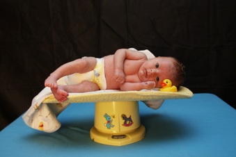 Enlarge photo 12