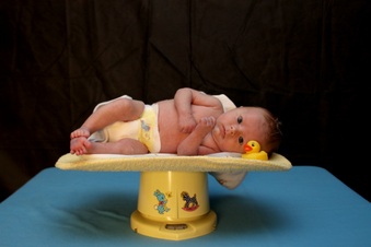 Enlarge photo 16