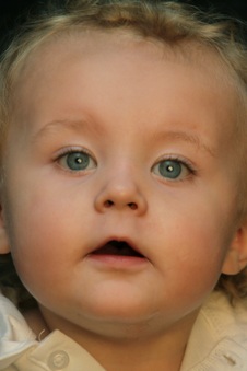 Enlarge photo 73