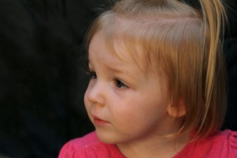 Enlarge photo 81