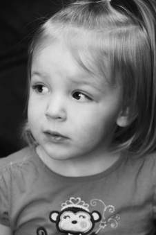 Enlarge photo 82