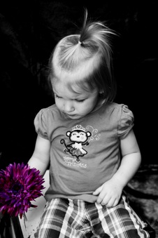 Enlarge photo 88