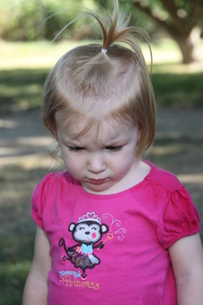 Enlarge photo 103