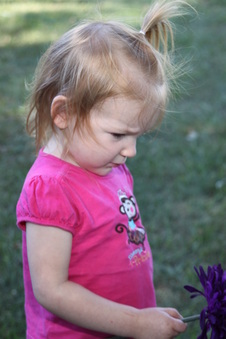 Enlarge photo 113