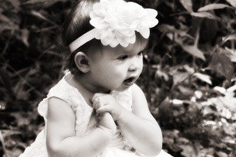 Enlarge photo 63