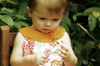 Enlarge photo 85