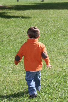 Enlarge photo 86