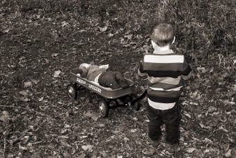 Enlarge photo 104