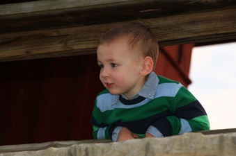 Enlarge photo 260