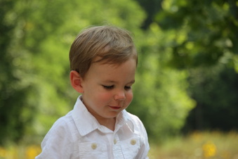 Enlarge photo 80