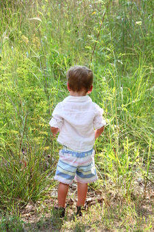 Enlarge photo 93