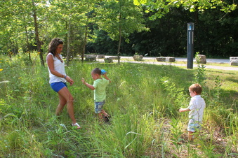 Enlarge photo 130