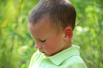 Enlarge photo 134
