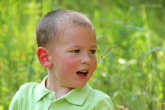 Enlarge photo 136