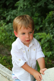 Enlarge photo 152