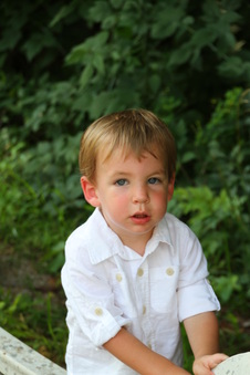 Enlarge photo 153