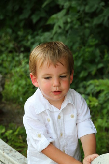 Enlarge photo 154