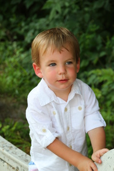 Enlarge photo 155