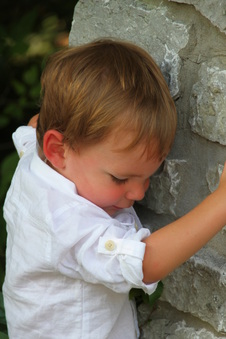 Enlarge photo 168