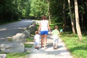 Enlarge photo 184