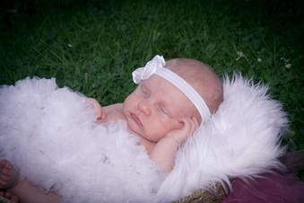 Enlarge photo 80