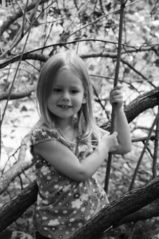 Enlarge photo 167