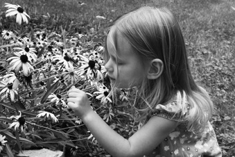 Enlarge photo 175