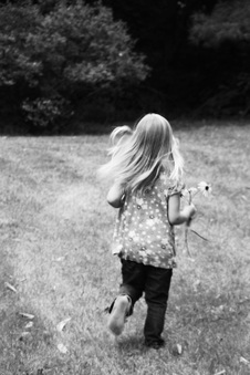 Enlarge photo 185