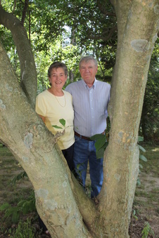 Enlarge photo 62