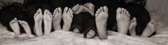 Enlarge photo 61