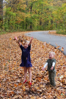 Enlarge photo 155