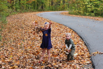 Enlarge photo 157