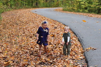 Enlarge photo 158