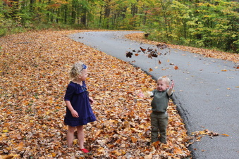 Enlarge photo 162