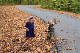 Enlarge photo 164