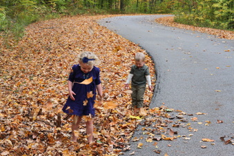 Enlarge photo 166